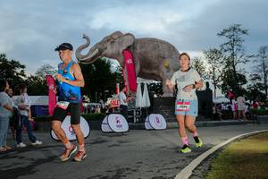 BIB: 
                            <button type="button" onclick="openModal(26529460)" class="btn btn-primary btn-sm float-right btn-popup" data-toggle="modal" data-target=".modal-high-quality">
                        <i class="fas fa-shopping-cart"></i> Add to Cart
                    </button>
                                            <button type="button" onclick="isThisMe(26529460, true)" class="btn btn-success btn-sm float-right btn-popup btn-isme hidden" data-toggle="tooltip" data-placement="bottom" title="นี่คือรูปของคุณใช่ไหม คลิกที่นี่เพื่อเอาเข้าอัลบั้ม">
                        <i class="fas fa-plus"></i> Add to album
                    </button>
                    <button type="button" onclick="isThisMe(26529460, false)" class="btn btn-warning btn-sm float-right btn-popup btn-isnotme hidden">
                        <i class="fas fa-ban"></i> Remove from album
                    </button>